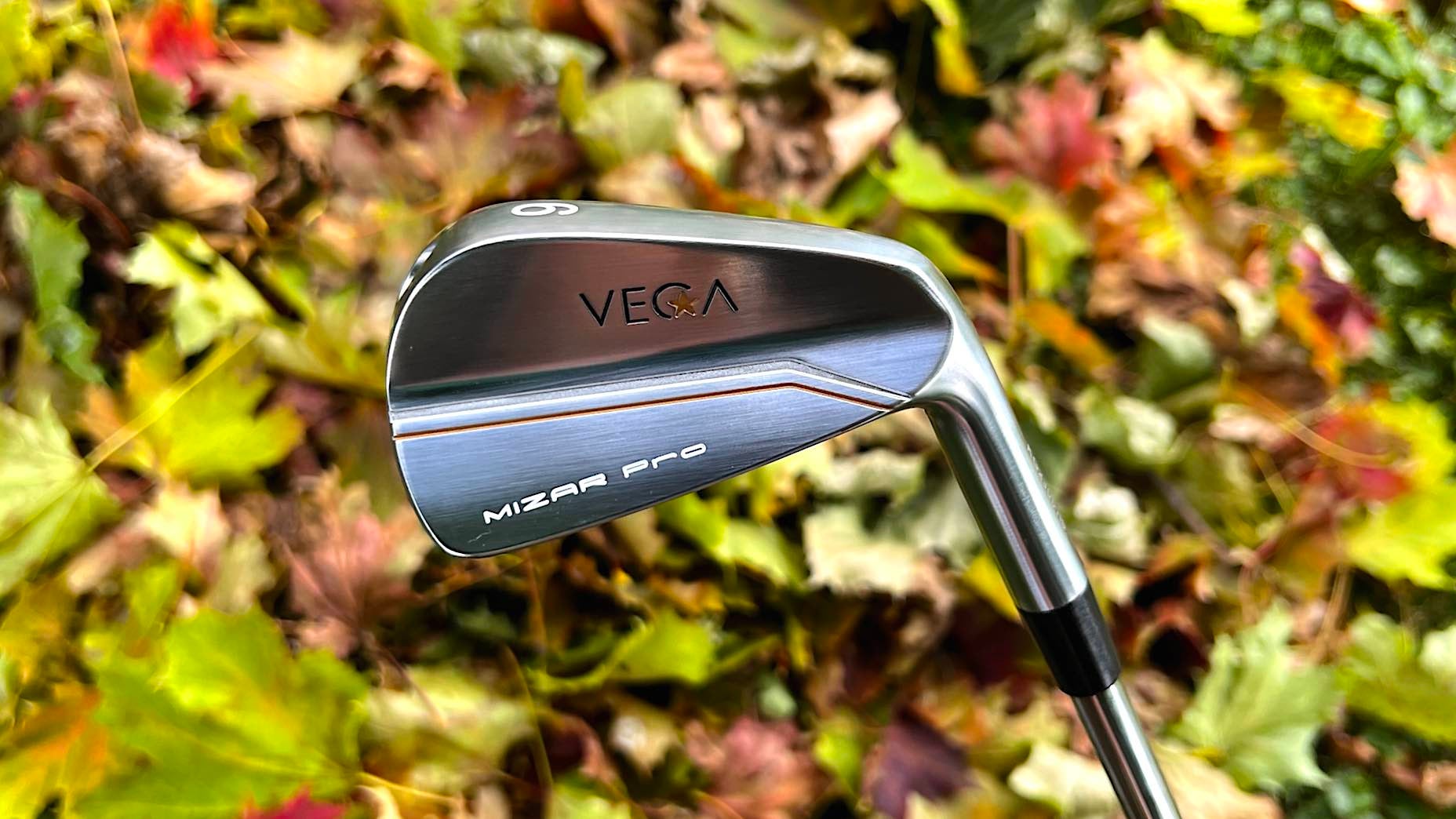 Vega Mizar pro back